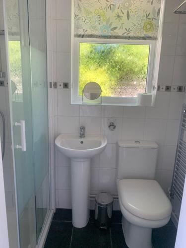 a bathroom with a toilet and a sink and a window at The Haven garden room in Preston