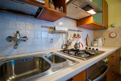 Kuhinja oz. manjša kuhinja v nastanitvi Apartments Rina