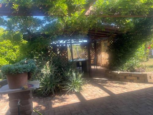 a patio with plants and a bench in a garden at Camera Friuli in Nettuno