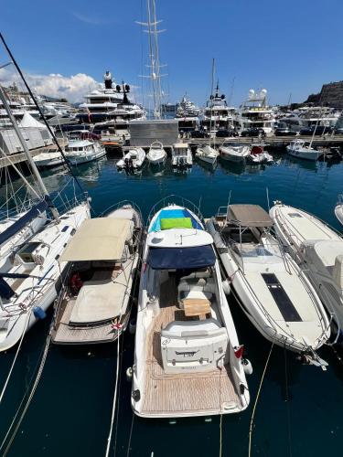 LUXURY BOAT in MONACO