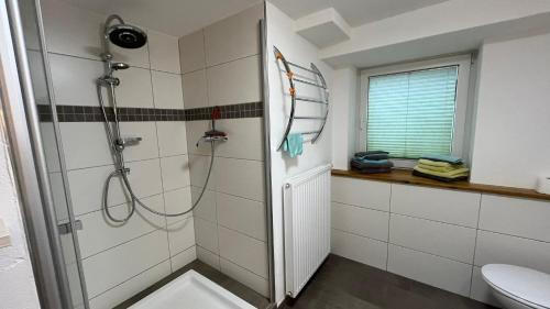 a bathroom with a shower and a toilet at Ferienwohnung am Sonnenstein in Brehme