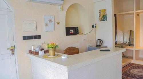 Kuchyň nebo kuchyňský kout v ubytování Albusat