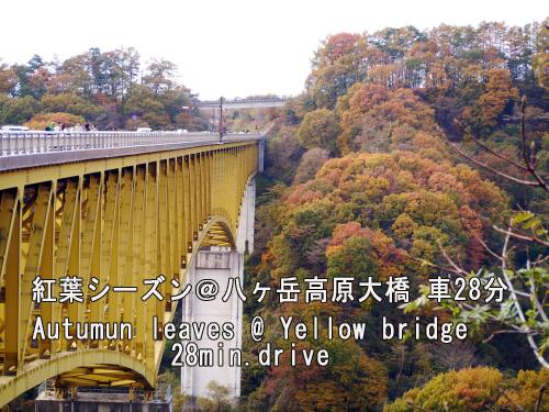 Gambar di galeri bagi 山高　さくらの里【English support available】 di Hokuto