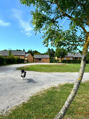 a dog is running down a gravel road at Chalet dans le Perche in Soligny-la-Trappe