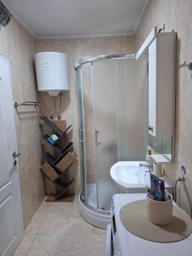 Koupelna v ubytování Apartman Demetra