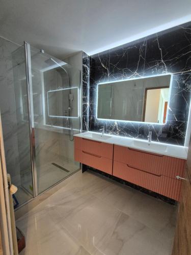 a bathroom with a shower and a sink and a mirror at Le Bellevue in La Roche-sur-Yon