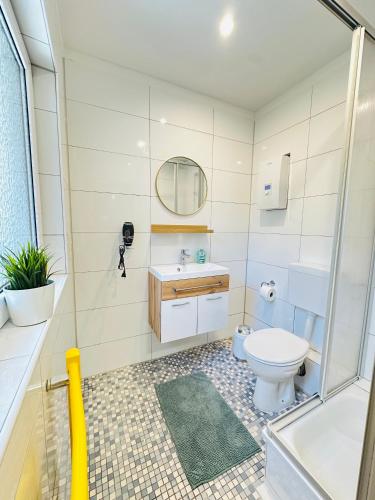 a bathroom with a toilet and a sink and a mirror at Schulz Apartments Siegburg in Siegburg
