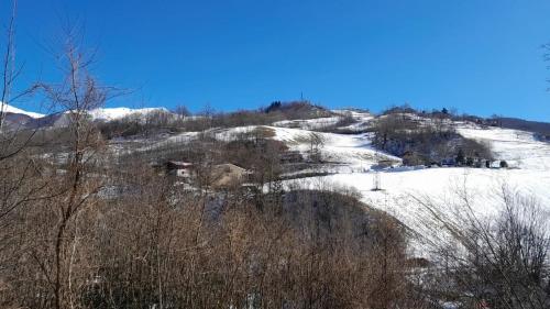 a snow covered hill with trees and buildings on it at Chalet Del Rio in Fiumalbo