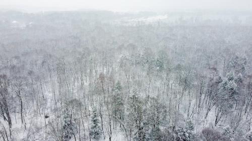 an aerial view of a forest of trees covered in snow at The Bracken Cabin at Fernwood Hills in Strathroy