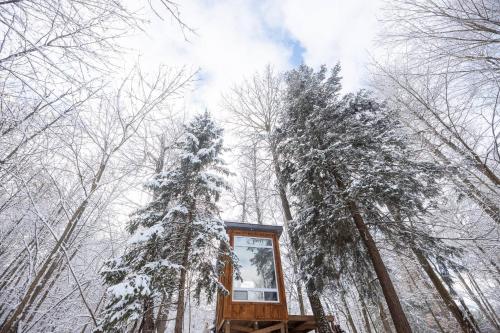 a sign in the woods with a snow covered tree at The Bracken Cabin at Fernwood Hills in Strathroy