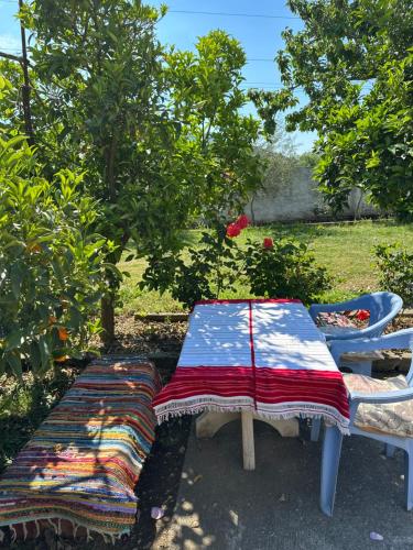 Zahrada ubytování Villa Zefi Rrenc