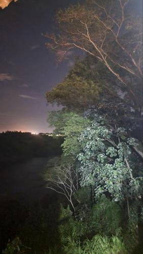 a group of trees next to a body of water at Casa com Vista al Rio Paraná con Naturaleza y Comfort in Ciudad del Este