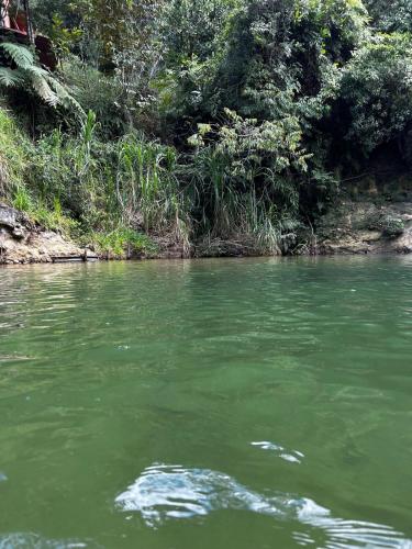 a river with green water and trees in the background at Habitación para 4 con acceso al rio baño privado y wifi San Rafael Antioquia in San Rafael
