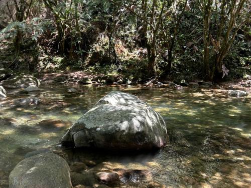 a rock sitting in the middle of a river at Habitación para 4 con acceso al rio baño privado y wifi San Rafael Antioquia in San Rafael