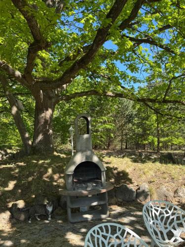 an outdoor oven in the shade of a tree at Ferienpark-Canow in Canow