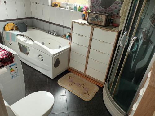 a bathroom with a shower and a sink and a toilet at Roberto ranch in Palanga