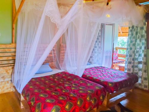 Fotografie z fotogalerie ubytování Elite Backpackers Services v destinaci Masaka