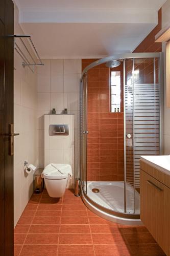 a bathroom with a shower and a toilet at Xenia Serenity in Kalamata
