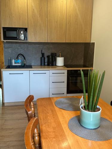 Kuchyň nebo kuchyňský kout v ubytování Apartamenty U Misia