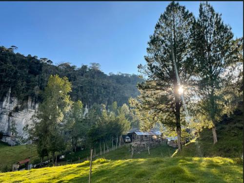 een huis op een heuvel met een boom in een veld bij LA RIVIERA Posada Campestre in Bolívar