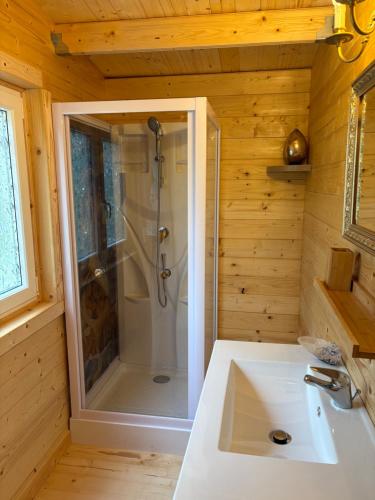 La salle de bains est pourvue d'une douche et d'un lavabo blanc. dans l'établissement Gîte du Sanglier Magique - hommage au célèbre sorcier, à Boutenac