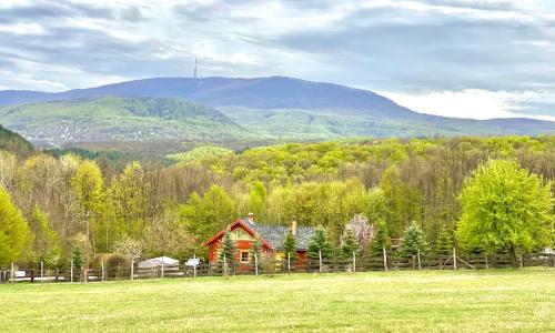 Parádsasvári Sasfészek