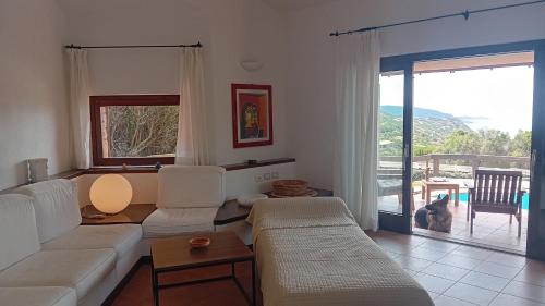 a living room with a couch and a dog looking out the window at Villa Felice in Costa Paradiso