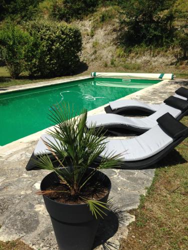une plante dans un pot à côté d'une piscine dans l'établissement Gite 4 couchages piscine privée, à Roquecor