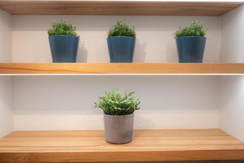 a row of potted plants on a shelf at The Summit of Mykonos in Kalo Livadi