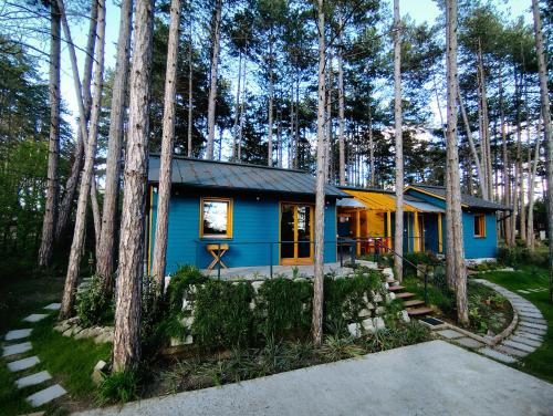 Surányi kék házak