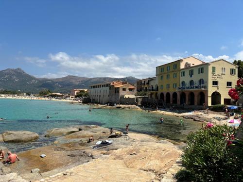 a group of people in the water on a beach at Nidu Di Lume, Charmant T3, 2 chambres, vue mer in Algajola