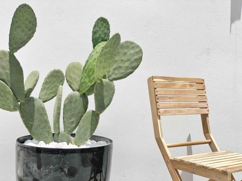 Bamboo House Syros No1