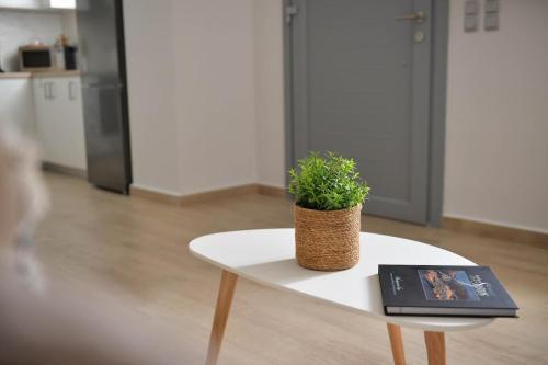 a table with a book and a potted plant on it at Bamboo House Syros No1 in Ermoupoli