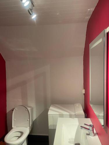 une salle de bain avec toilettes, lavabo et miroir dans l'établissement Chez Julie, à Le Monteil