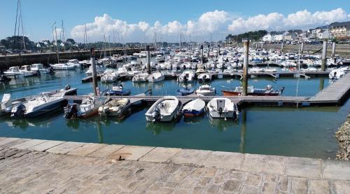 un groupe de bateaux amarrés dans un port dans l'établissement Tenat er Veline, à Étel