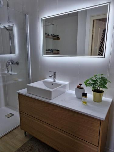 une salle de bain avec un lavabo et un miroir dans l'établissement Joli T2 sur golf Bassussary, à Bassussarry