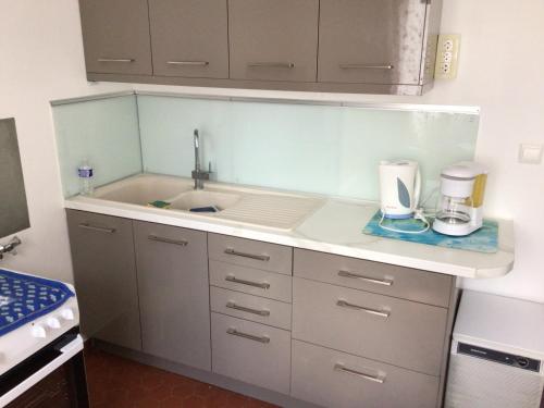 une cuisine avec un évier et un plan de travail dans l'établissement Sara's Home 24, à Rouen