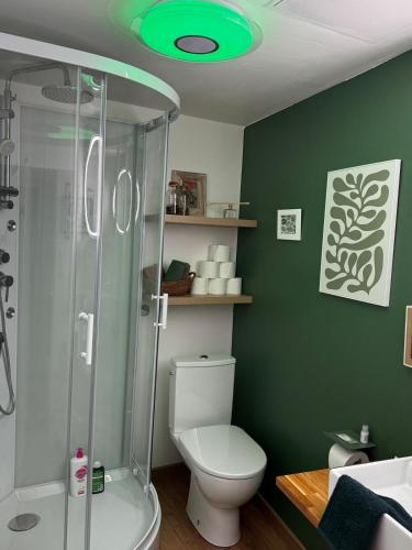 La salle de bains est pourvue de toilettes et d'un mur vert. dans l'établissement L'écrin de la villa des roses, à Pontmain