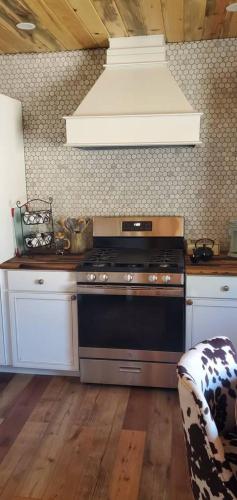 Köök või kööginurk majutusasutuses Cowboy cabin