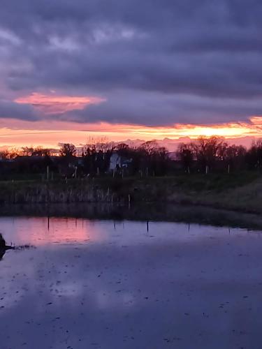 a sunset over a pond in a field at Shepard's Delight in Lisnaskea