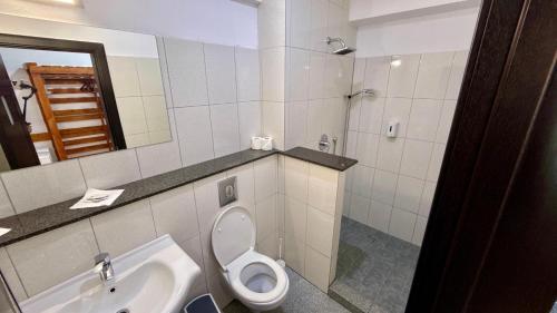 a bathroom with a toilet and a sink at Cabana Sura Getilor Arinis in Voronet