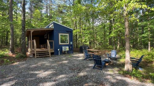 a blue shed in the woods with chairs and a table at Tiny Cub House with Fast WiFi and Dog Friendly in Mentone