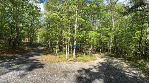 a road in the middle of a forest with trees at Tiny Cub House with Fast WiFi and Dog Friendly in Mentone