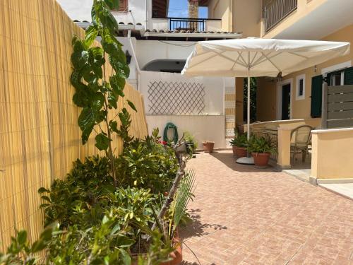 a patio with an umbrella and plants next to a building at George Studios in Vasiliki