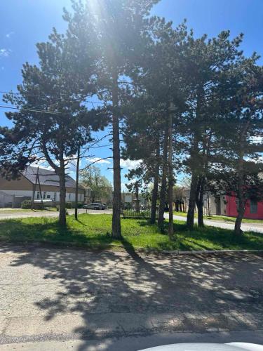 a group of trees in a field of grass at POOL RESORT- Vila Lena- Studio 3 in Vrdnik