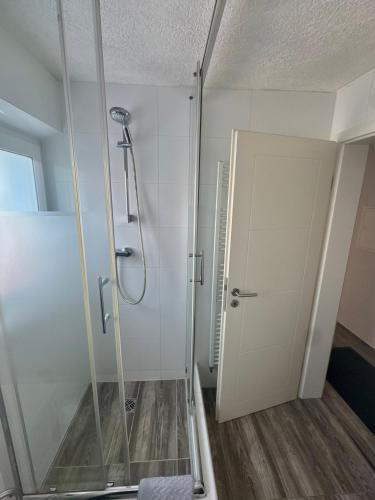 a shower with a glass door in a bathroom at SoNi Apartment in Dieburg