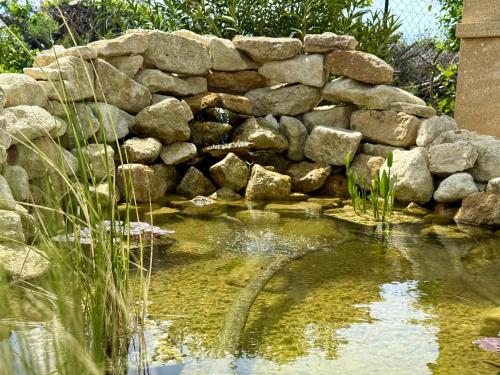 a rock retaining wall next to a pond with a water fountain at Une nuit en Luberon in Puyvert