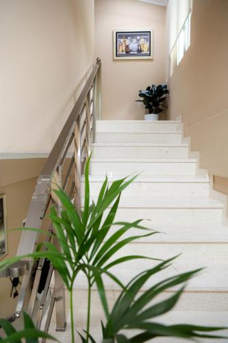 Fotografie z fotogalerie ubytování Saliasi hotel&apartament v destinaci Poliçan