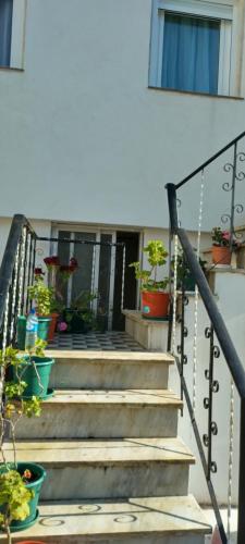 un conjunto de escaleras con macetas. en Daniela House, en Caneças