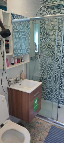 Un baño de Daniela House